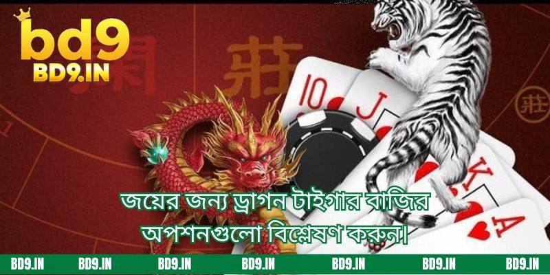 জয়ের জন্য ড্রাগন টাইগার বাজির অপশনগুলো বিশ্লেষণ করুন।
